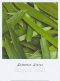 Buy Scattered Leaves at AllPosters.com