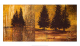 Buy Forest Silhouettes II at AllPosters.com