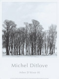 Arbres Divers III