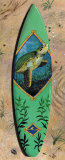 Turtle Board