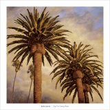 Buy Fog over Canary Palms at AllPosters.com