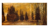 Buy Forest Silhouettes I at AllPosters.com