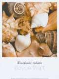 Buy Beachside Shells at AllPosters.com