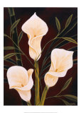 Buy Botanical Elegance II at AllPosters.com