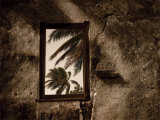 Buy Palm View II at AllPosters.com