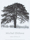 Arbres Divers II