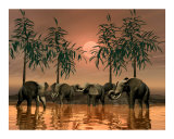 Buy Jungle Scene of Elephants at AllPosters.com
