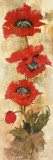Strand of Poppies II Art Print