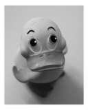 Just Duckie