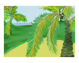 Buy Dreamin' of Key West Again at AllPosters.com