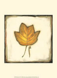 Buy Fall Color IV at AllPosters.com