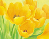 Spring Tulips