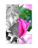 Buy Negative & Positive at AllPosters.com