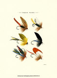 Bass Flies I