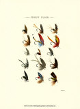 Trout Flies I