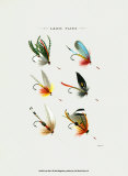 Lake Flies I