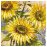 Buy Magnificent Suns at AllPosters.com