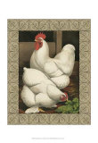 Buy Roosters I at AllPosters.com