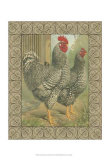 Buy Roosters II at AllPosters.com