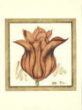 Tulip Study VI