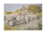 Buy Digging Potatoes, 1905 at AllPosters.com