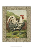 Buy Roosters III at AllPosters.com