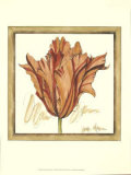 Tulip Study VII