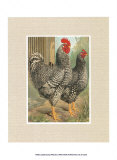 Buy Roosters with Mat II at AllPosters.com