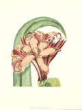 Buy Garden Romance I at AllPosters.com