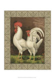 Buy Roosters VI at AllPosters.com