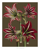 Buy Lush Amaryllis I at AllPosters.com