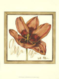 Tulip Study I