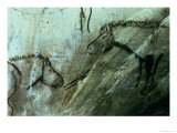 Horses, Rock Paintings in the Black Room, Magdalenian