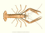 Buy Antique Lobster I at AllPosters.com