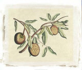 Buy Botanical II at AllPosters.com