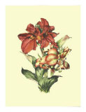 Buy Lush Floral I at AllPosters.com