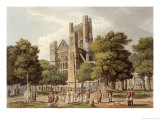 Buy Orange Grove, from "Bath Illustrated by a Series of Views" at AllPosters.com