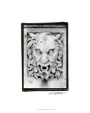 Buy Watchful at AllPosters.com