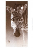 Grant, the Zebra