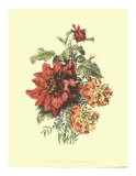 Buy Lush Floral II at AllPosters.com