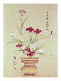 Orchids