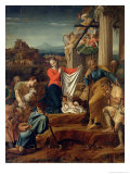 Buy Nativity at AllPosters.com
