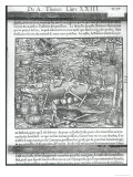 Buy Jointing a Whale, from "Cosmographie Universelle" by Andre Thevet, 1575 at AllPosters.com