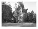 Buy Prehistoric House at the Universal Exhibition of 1889 in Paris, Architect Charles Garnier at AllPosters.com