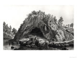 Buy Apparition of the Virgin Mary to Bernadette Soubirous 11th February 1858, circa 1858 at AllPosters.com