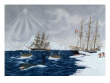 Buy The Whaling, 19th Century at AllPosters.com
