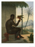 Buy Brazilian Negro with Tropical Bird at AllPosters.com
