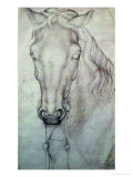 Buy Head of a Horse at AllPosters.com