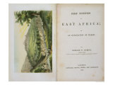 Buy Harar from the Coffe Stream, from "First Footsteps in East Africa: an Exploration of Harar" at AllPosters.com