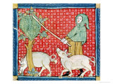 November: Gathering Acorns